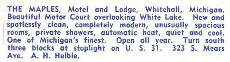 Maple Tree Inn (Maples Motel) - Vintage Postcard (newer photo)